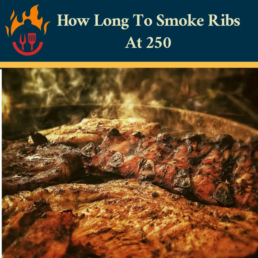 How Long To Smoke Ribs At 250? (An Expert’s Guide 2023)