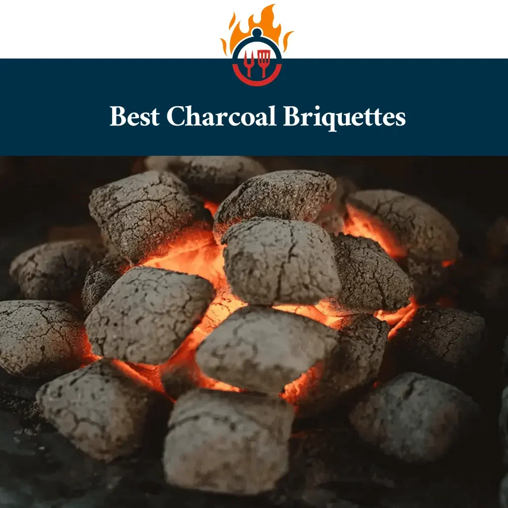 6 Best Charcoal Briquettes – Top Products for 2023