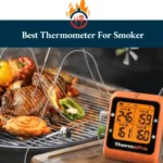 Best Thermometer For Smoker