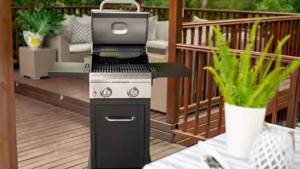 7 Best 2-Burner Gas Grills for Your Patio or Backyard 2023